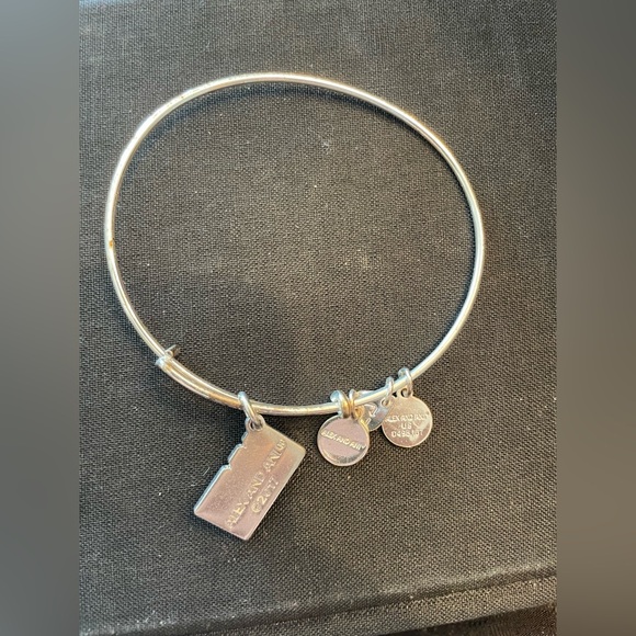 Alex and Ani Silver Bangle with Green Camera Charm - Picture 2 of 2